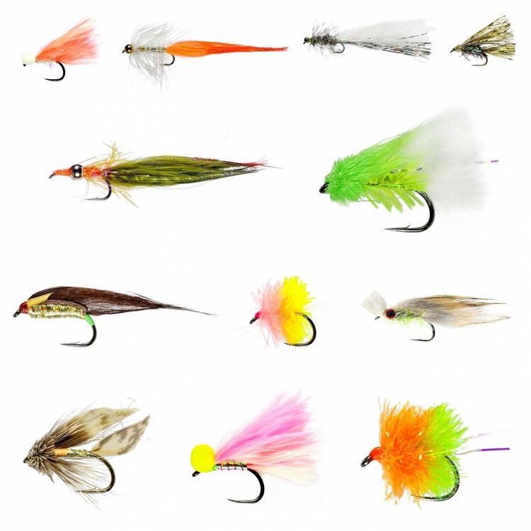 Caledonia Flies August Stillwater Lure Collection Fishing Fly Assortment